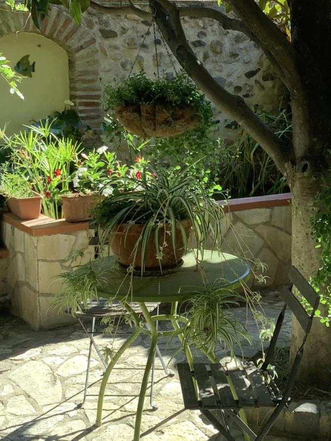 Mas Grandiflora Βίλα Espira-de-l'Agly Εξωτερικό φωτογραφία